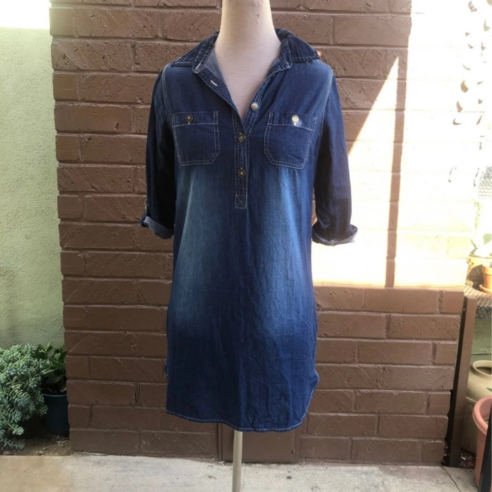 Allison Brittney denim dress